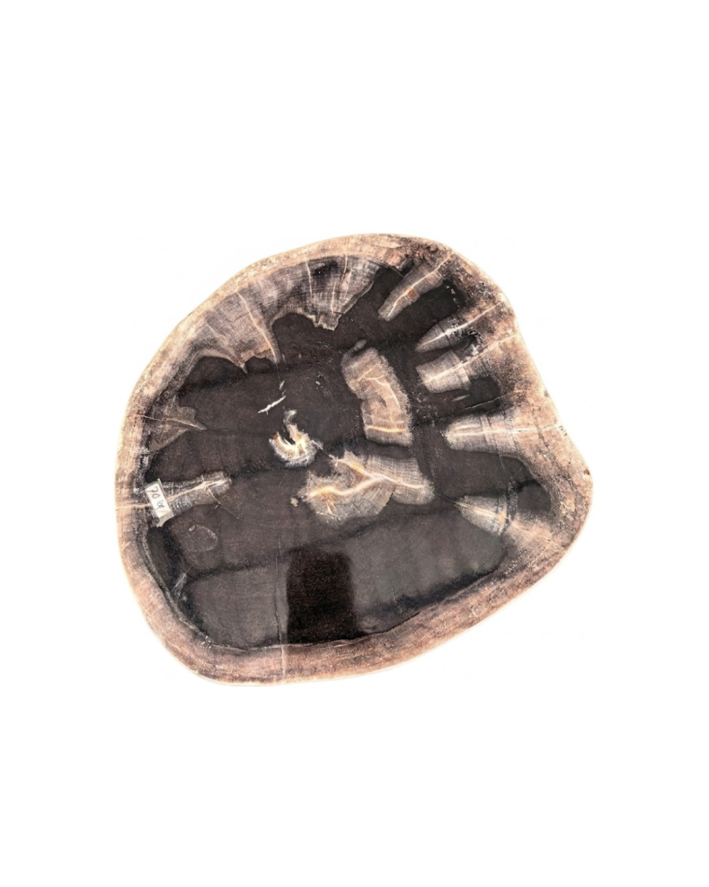 Petrified Wood Stool – ST108