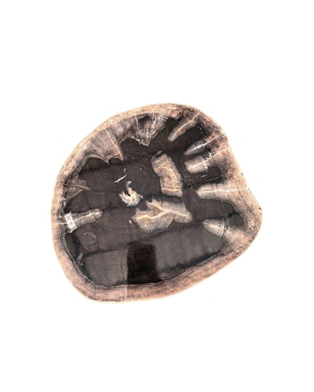 Petrified Wood Stool – ST108