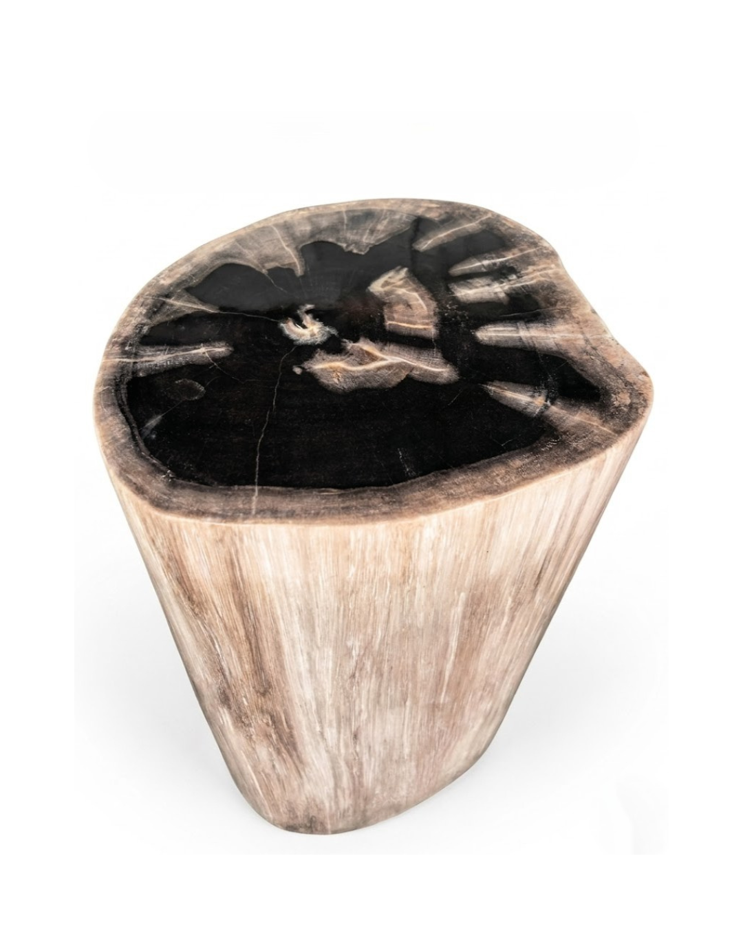 Petrified Wood Stool – ST108