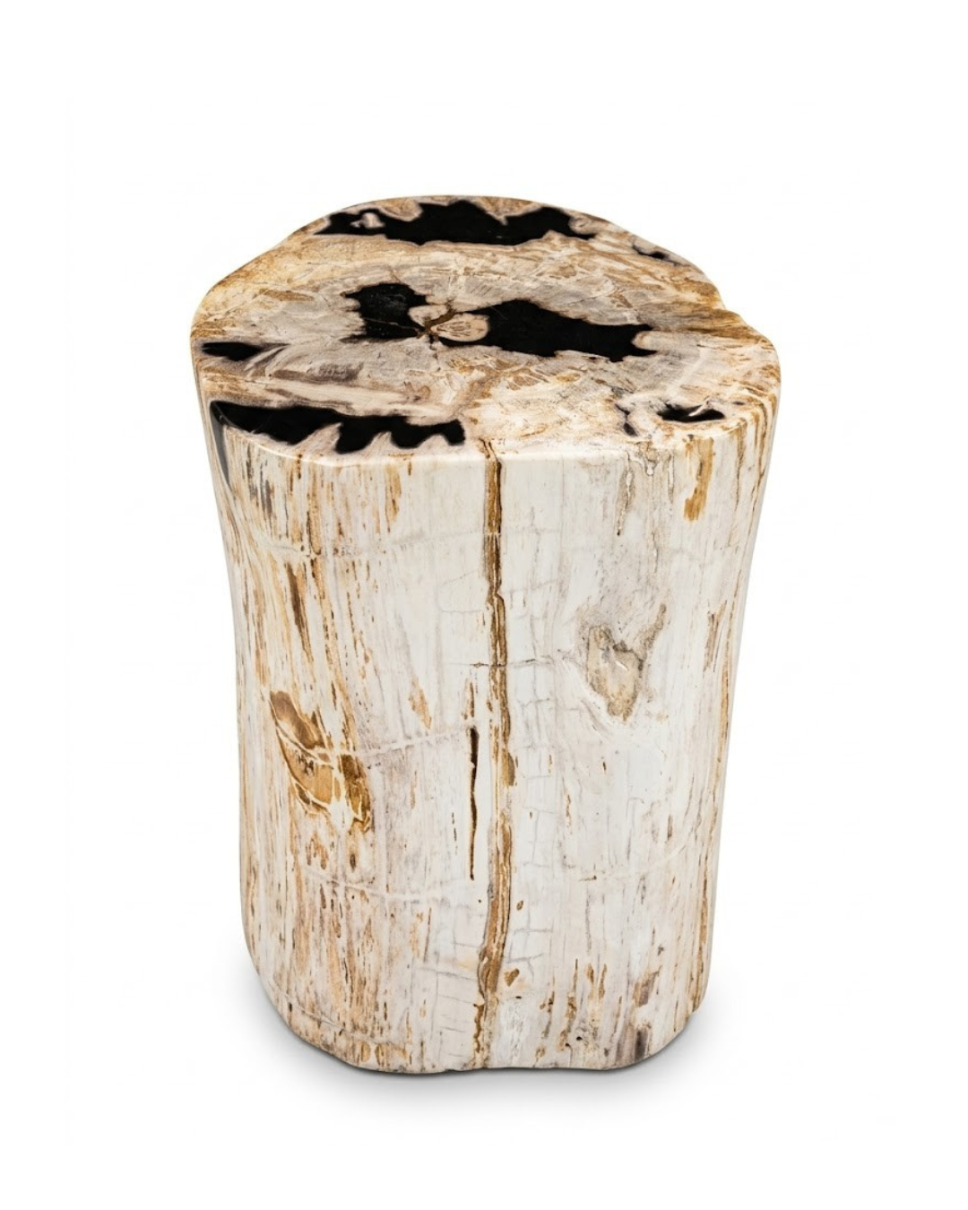Petrified Wood Stool – ST105
