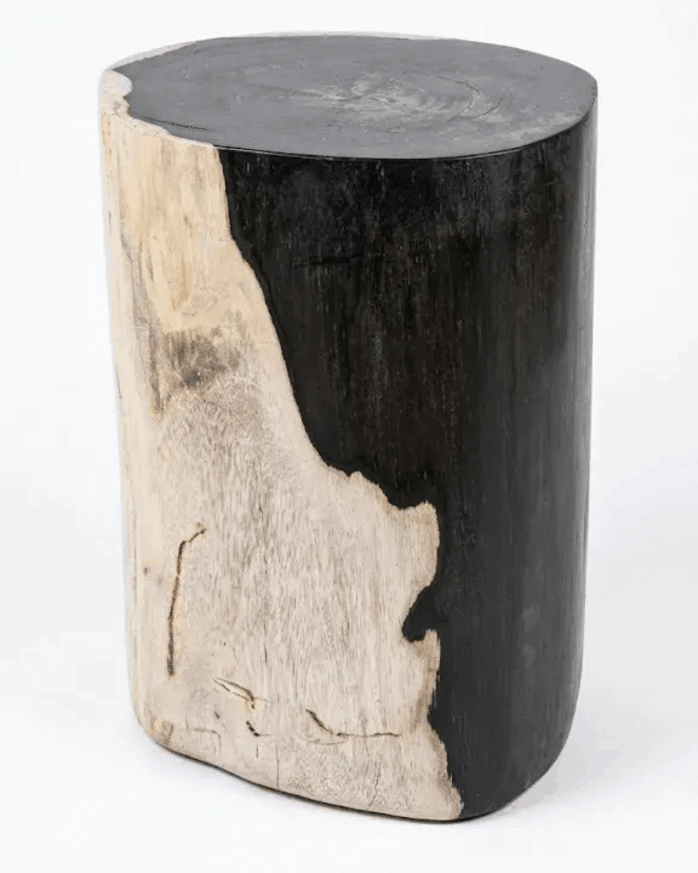Petrified Wood Stool - ST090