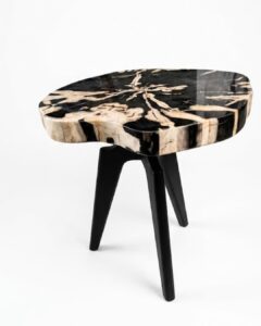 Petrified Wood Side Table – TB086