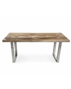Petrified Wood Console Table – TB125