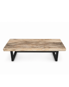 Petrified Wood Coffee Table – TB128