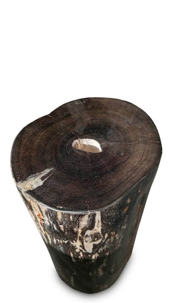 Petrified Wood Stool – ST111
