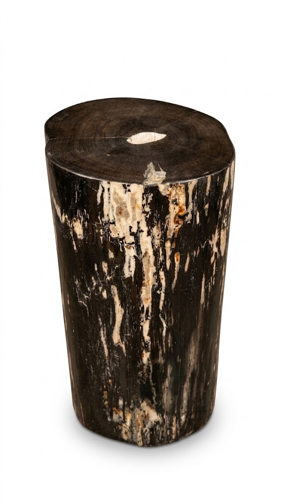 Petrified Wood Stool – ST112