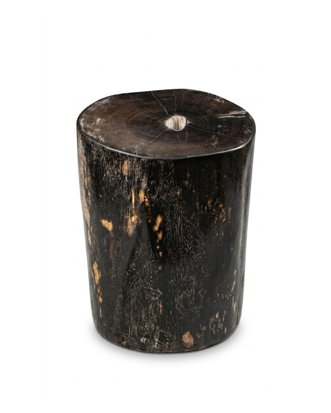 Petrified Wood Stool – ST111