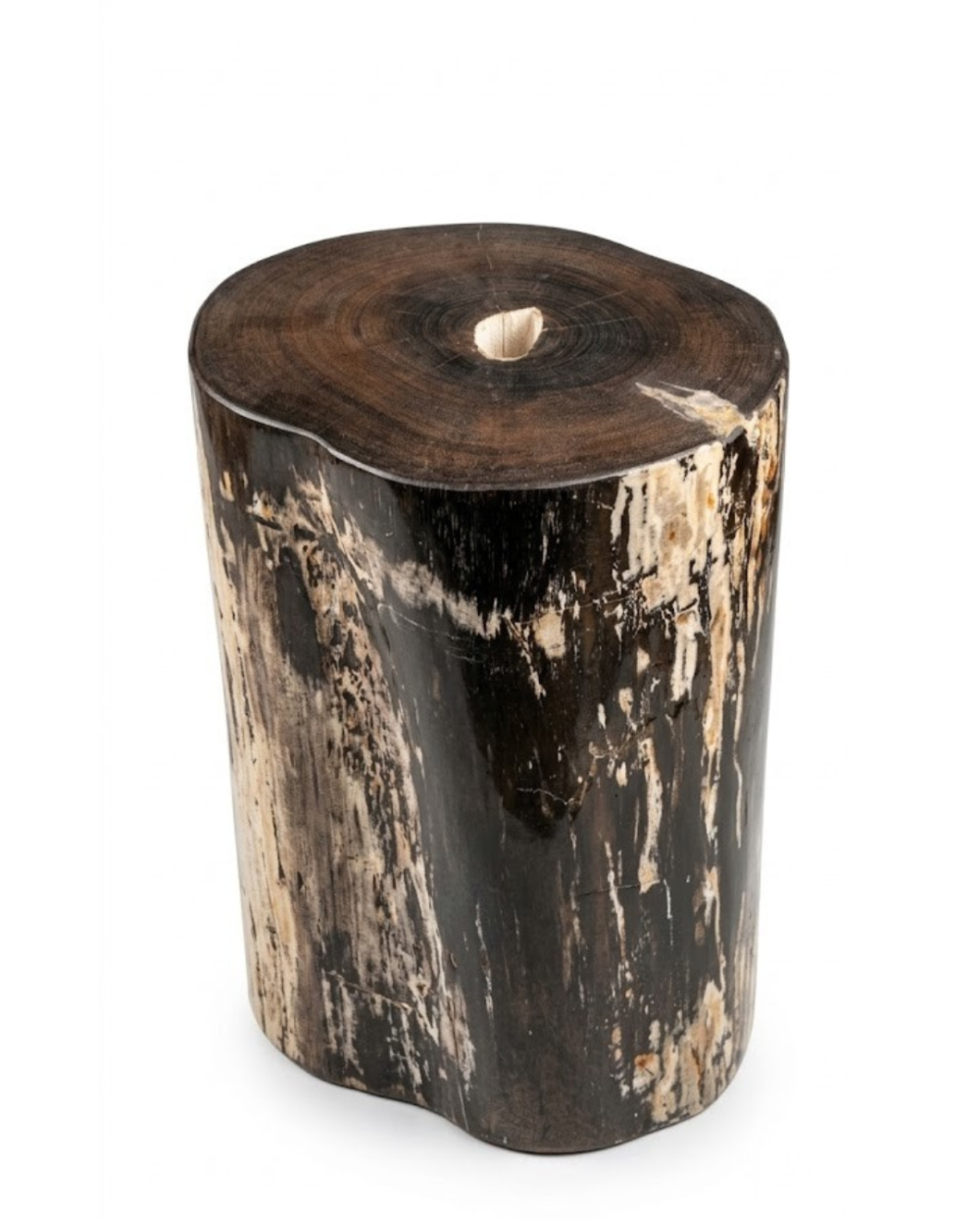 Petrified Wood Stool – ST112