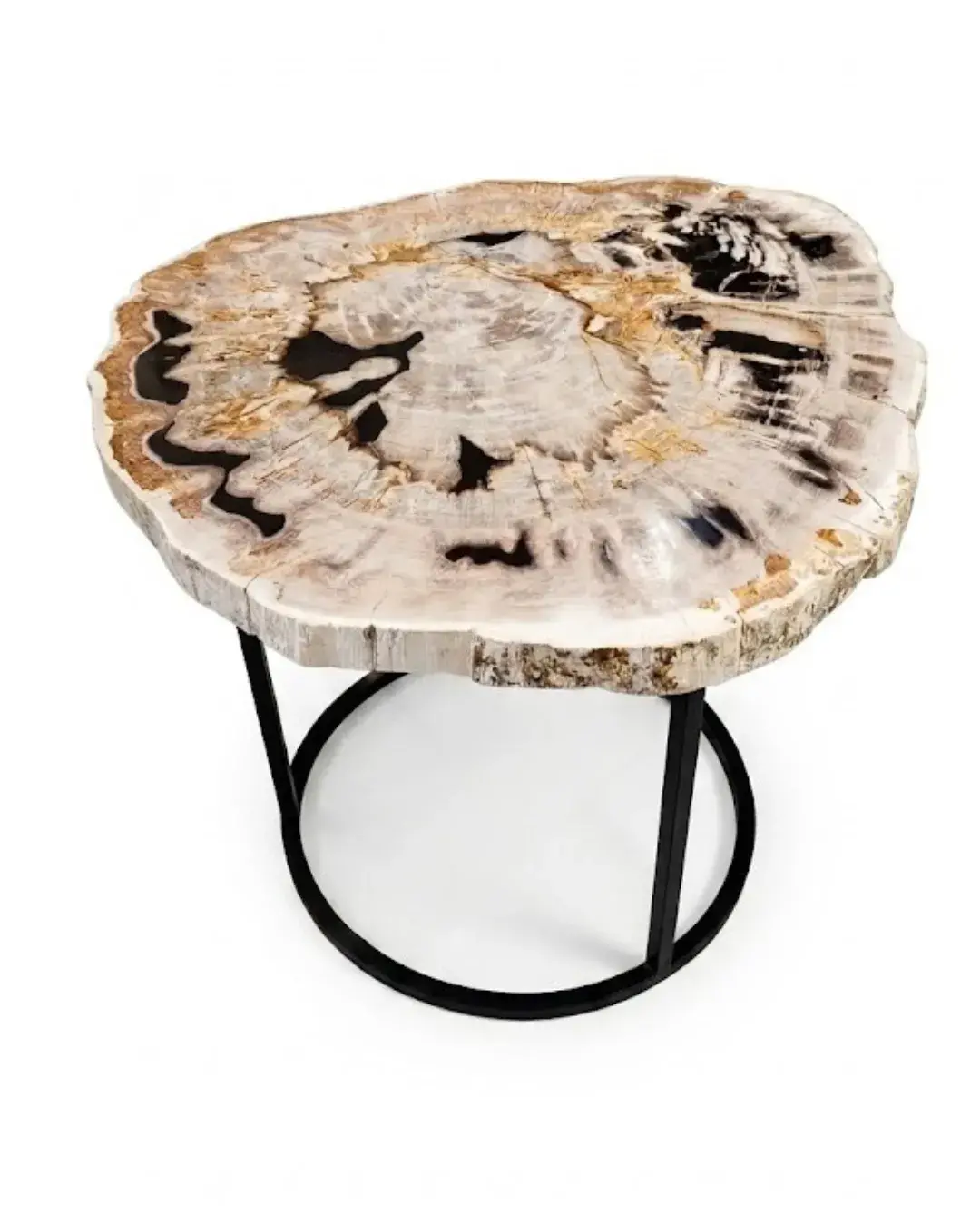 Petrified Wood Coffee Table – TB139