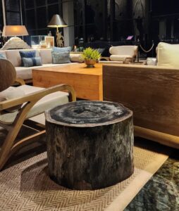 Petrified wood stool instal in Apurva Kempinski