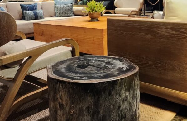 Petrified wood stool instal in Apurva Kempinski
