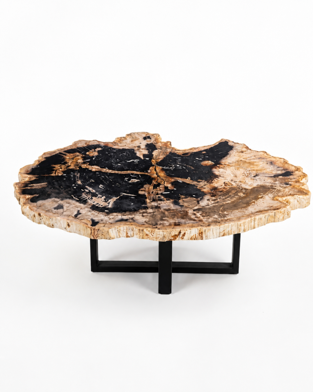 Petrified Wood Coffee Table – TB135