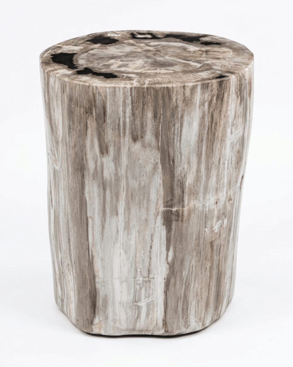 Petrified Wood Stool – ST117