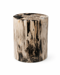 Petrified Wood Stool – ST119
