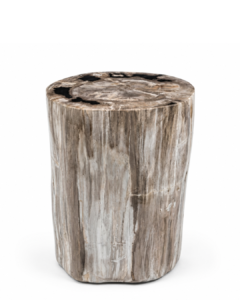 Petrified Wood Stool – ST117