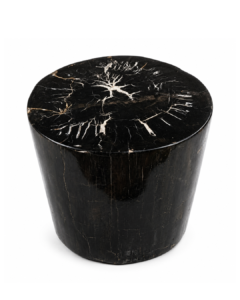 Petrified Wood Stool – ST122