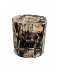 Petrified Wood Stool – ST121